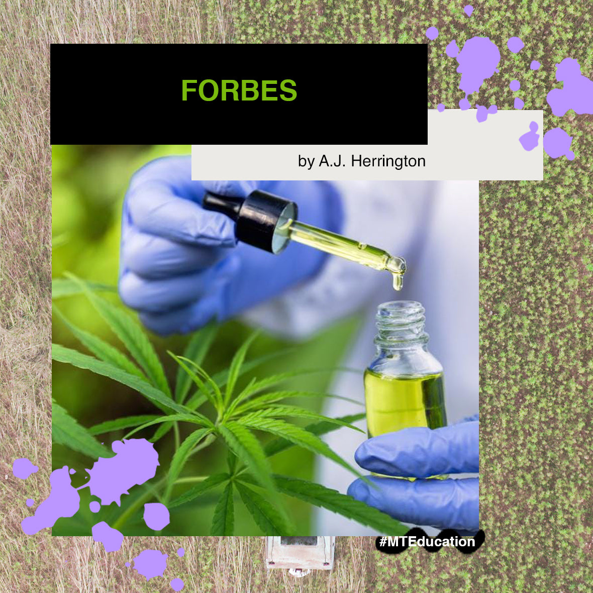 Study Finds Cannabis Compounds Prevent Infection By Covid-19 Virus