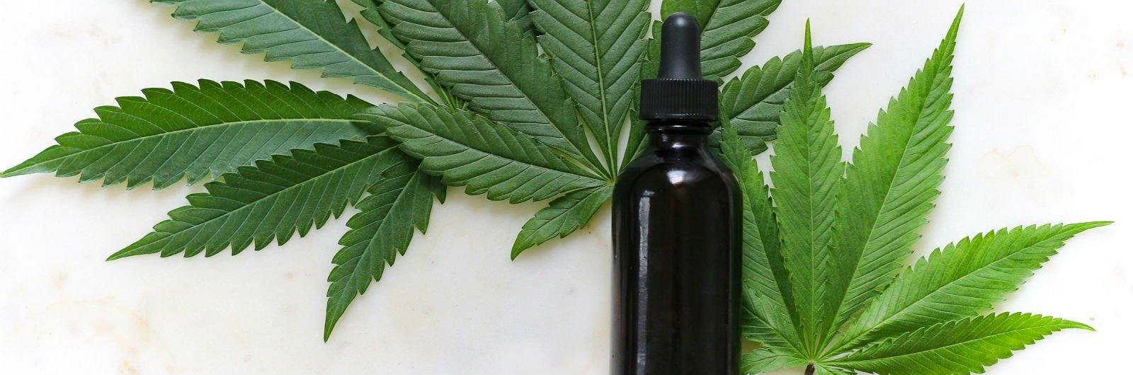 THE 10 CBD TREATS YOU NEED TO SURVIVE THANKSGIVING - MAD TASTY